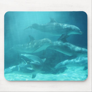 Dolphins Mouse Mat