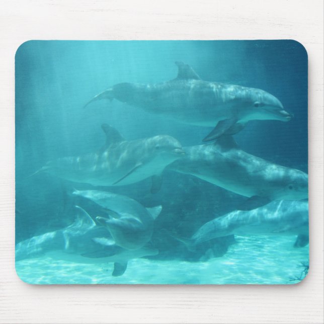 Dolphins Mouse Mat (Front)