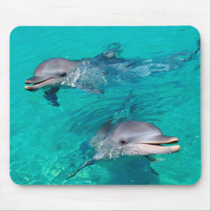 Dolphins Mouse Mat