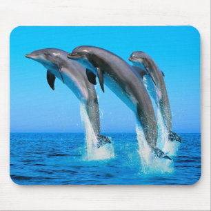 Dolphins Mouse Mat