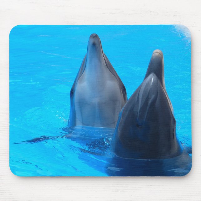 Dolphins mousepad (Front)