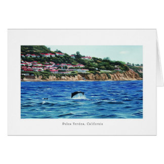 Dolphins Near Palos Verdes