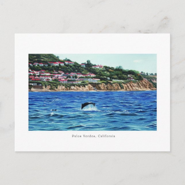 Dolphins Near Palos Verdes Postcard (Front)