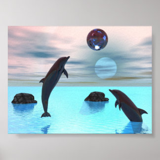 Dolphins Night Poster