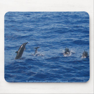 Dolphins ~ Northwest coast of Lanai Mouse Mat