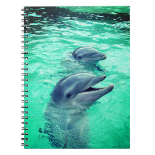 Dolphins Notebook