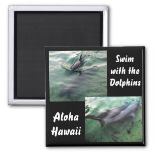 Dolphins of Hawaii Magnet