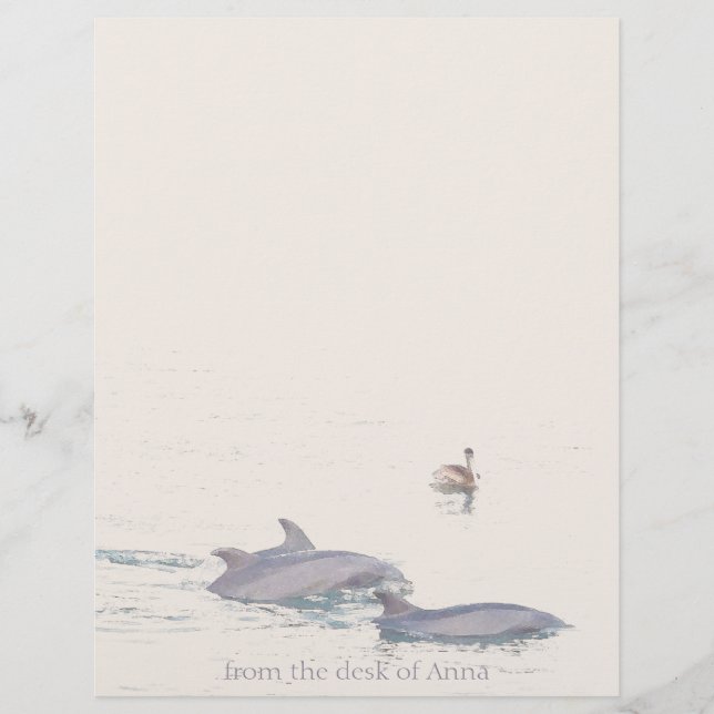 Dolphins Pelican Personalised Letterhead (Front)
