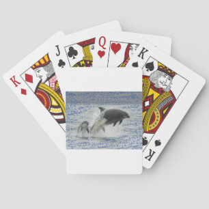 Dolphins Playing Cards