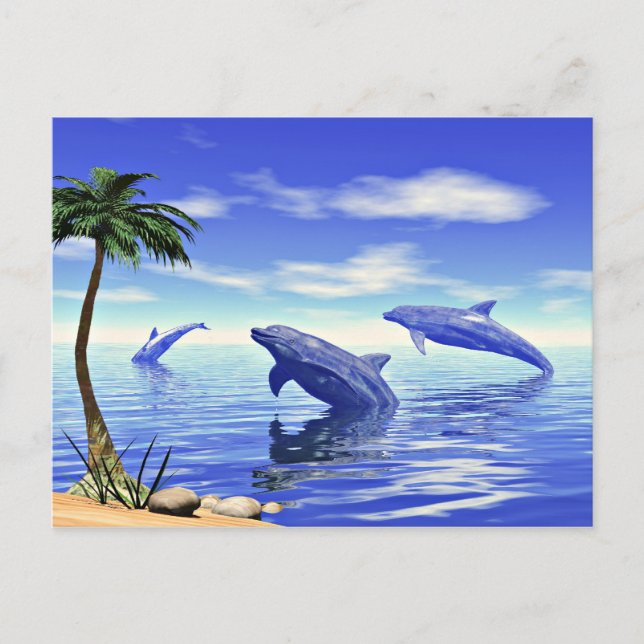 Dolphins Postcard (Front)