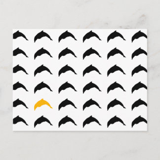 dolphins postcard