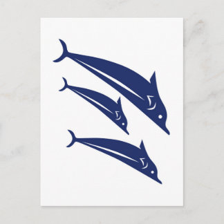 Dolphins Postcard