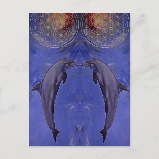 dolphins postcard (Front)