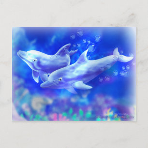 Dolphins Postcard
