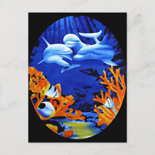 Dolphins Postcard