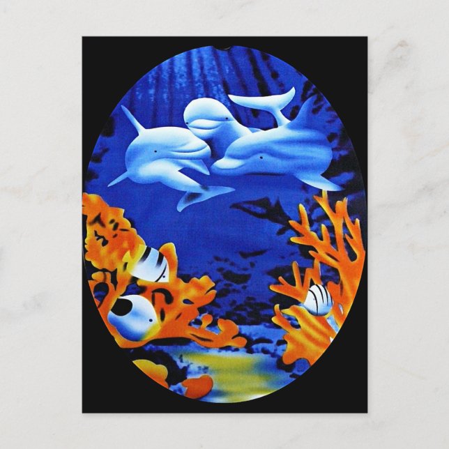 Dolphins Postcard (Front)