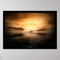 Dolphins