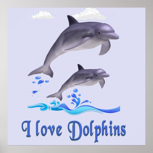 dolphins poster (Front)