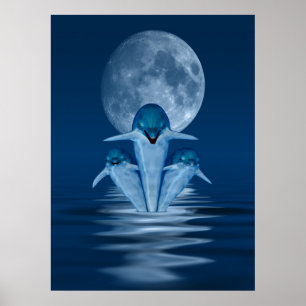 Dolphins Poster