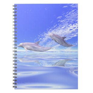 Dolphins Racing Notebook