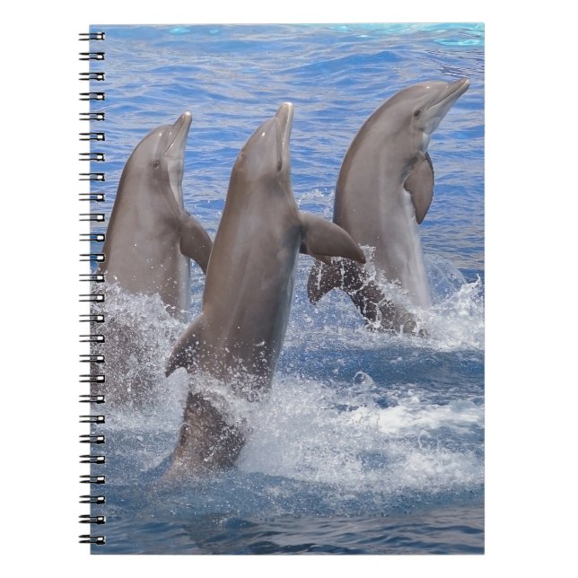 Dolphins standing out of the water notebook (Front)
