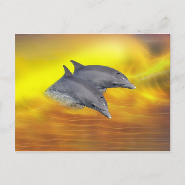 Dolphins surfing the waves postcard (Front)