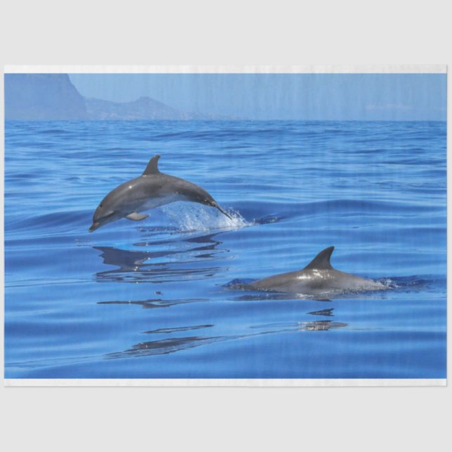 Dolphins Swimming Ocean Decoupage Tissue Paper (Front)