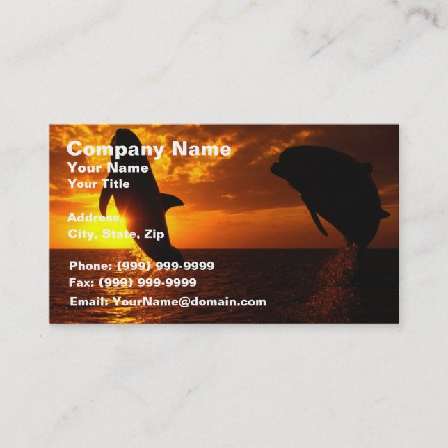 Dolphins Symphony at Sunset Business Card (Front)
