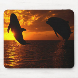 Dolphins Symphony at Sunset Mouse Mat