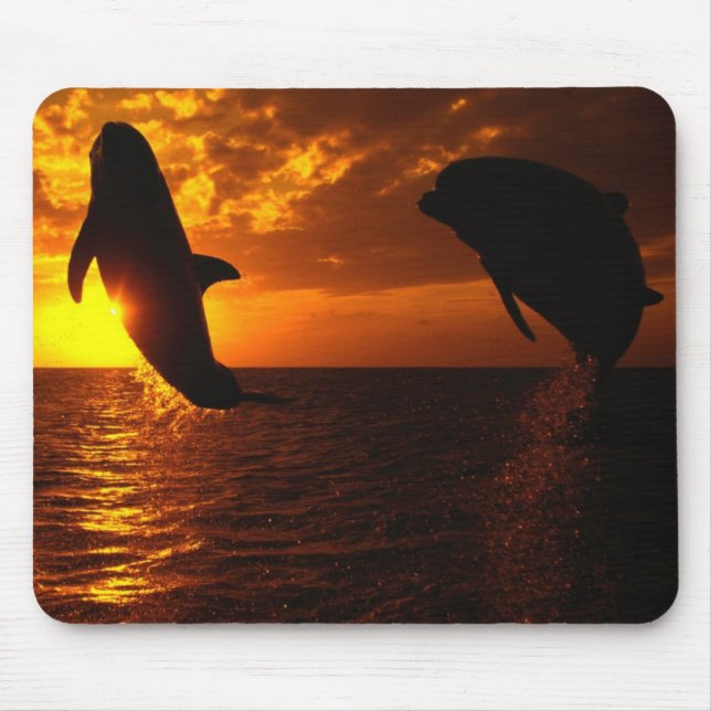 Dolphins Symphony at Sunset Mouse Mat (Front)
