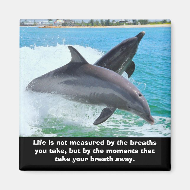 Dolphins Take Your Breath Away Magnet (Front)