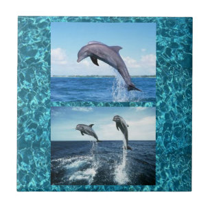dolphins tile