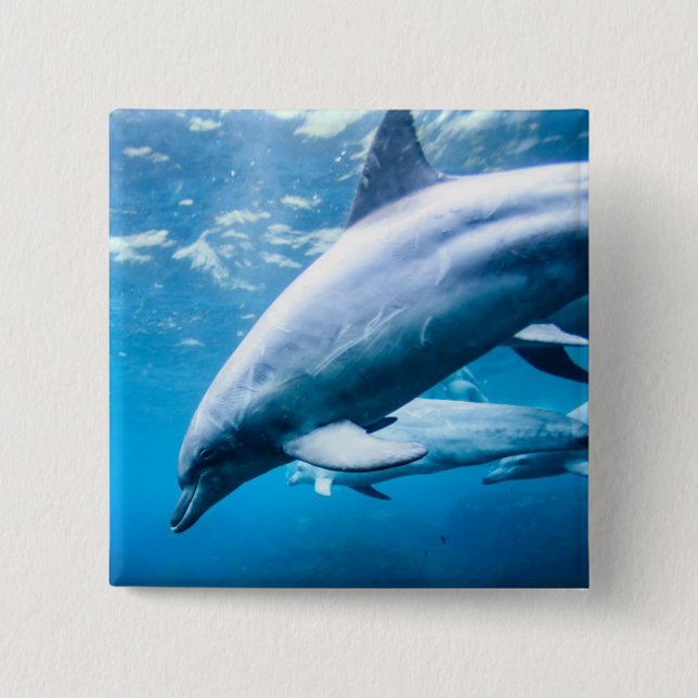 Dolphins Underwater 15 Cm Square Badge (Front)