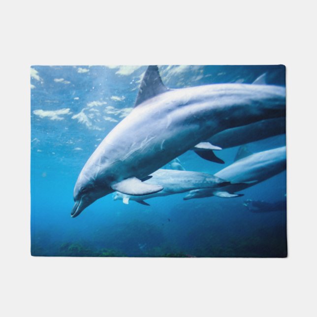 Dolphins Underwater Doormat (Front)
