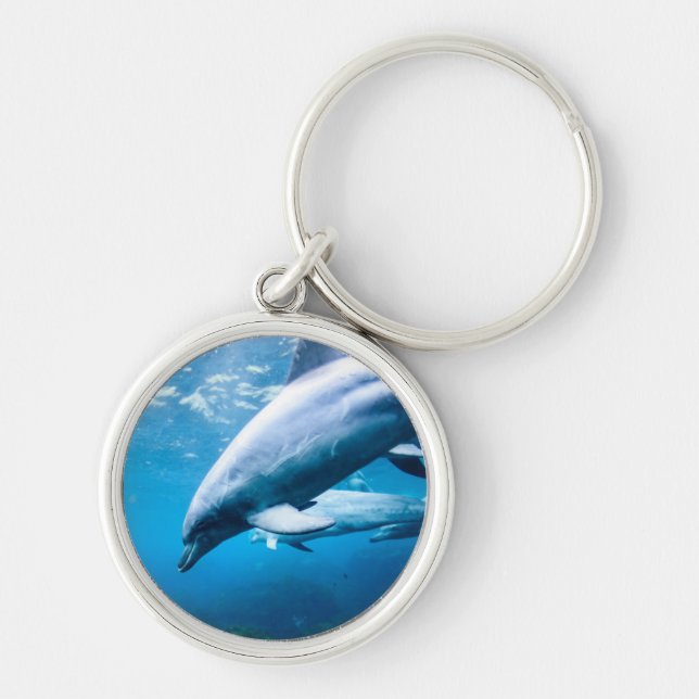 Dolphins Underwater Key Ring (Front)