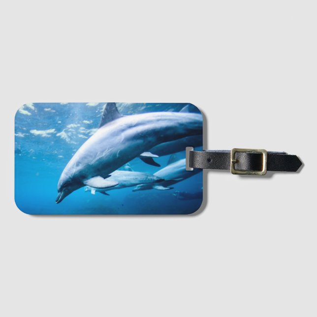 Dolphins Underwater Luggage Tag (Front Horizontal)