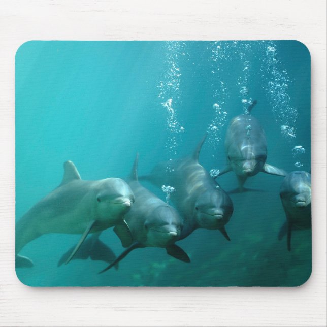 Dolphins Underwater Mouse Mat (Front)