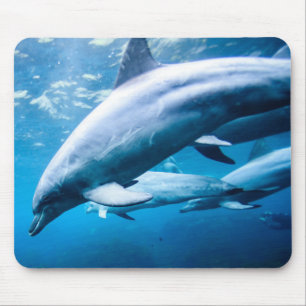 Dolphins Underwater Mouse Mat