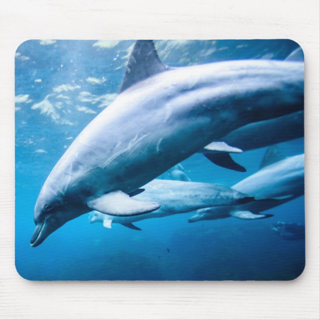 Dolphins Underwater Mouse Mat (Front)