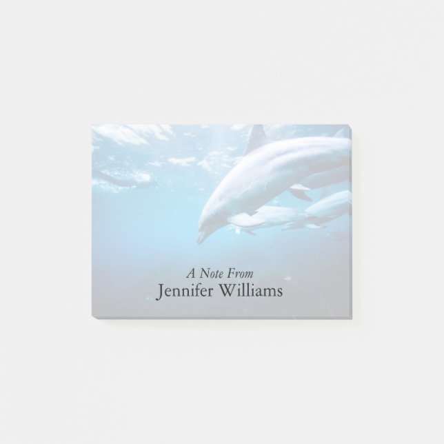 Dolphins Underwater Post-it Notes (Front)
