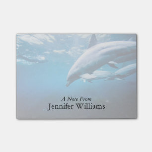 Dolphins Underwater Post-it Notes