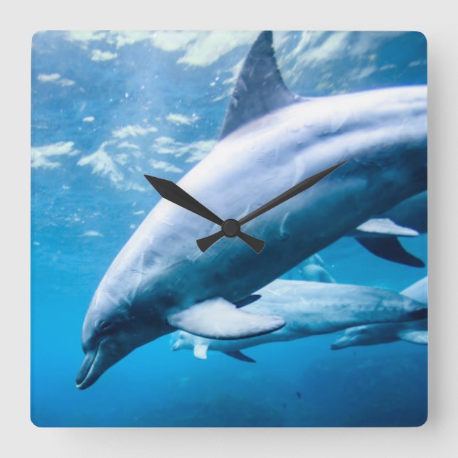 Dolphins Underwater Square Wall Clock (Front)