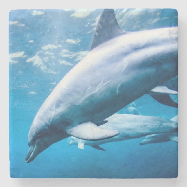 Dolphins Underwater Stone Coaster (Front)