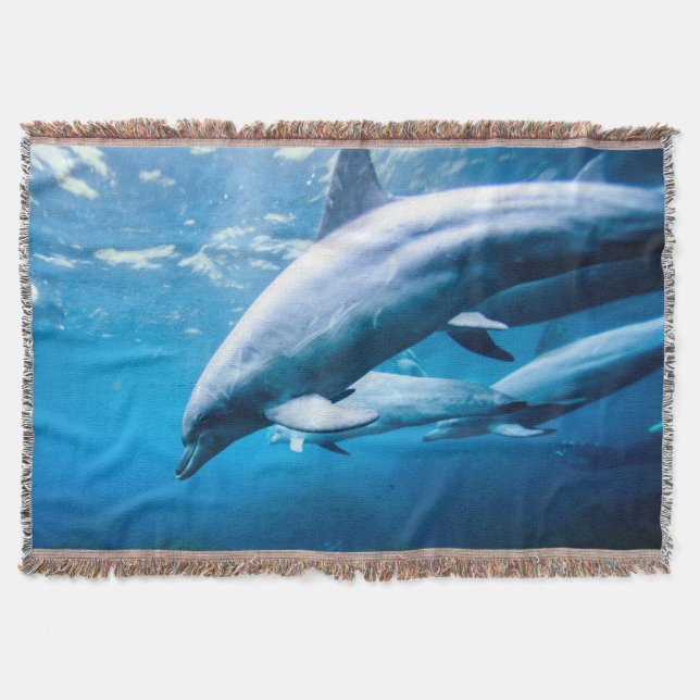 Dolphins Underwater Throw Blanket (Front)