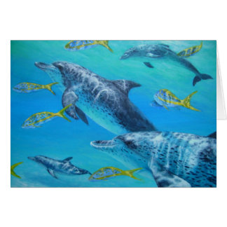 dolphinswithsnappers