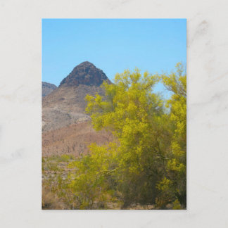 Dome Rock, Quartizsite, AZ Postcard