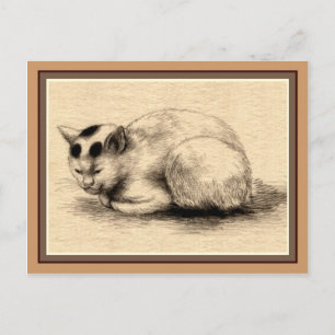 Domestic Cat Japanese Ink Drawing Postcard