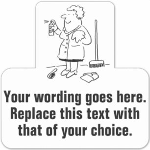 Domestic Cleaning and Cleaner