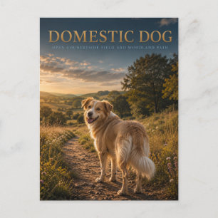 Domestic Dog Countryside Path ANIMALS Postcard