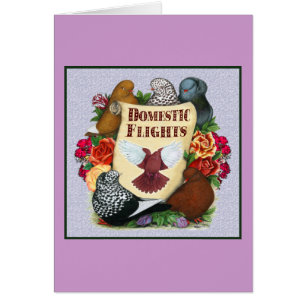 Domestic Flight Scroll